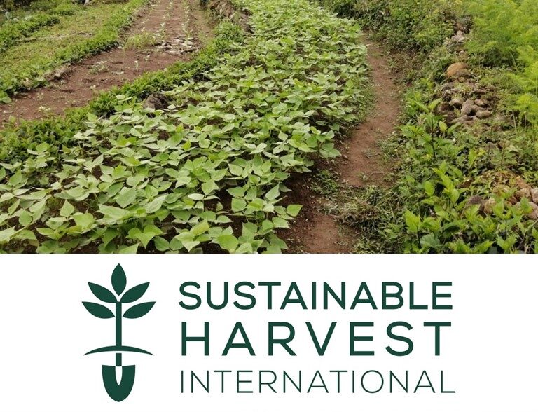Interview with Sustainable Harvest
